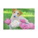 9959 photo 1