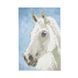 9966 photo 1