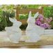 3795 photo 1