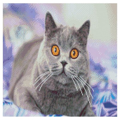 Алмазна мозаїка Strateg ПРЕМІУМ Зацікавлений сірий кіт 50х50 см GA0004 1483 фото